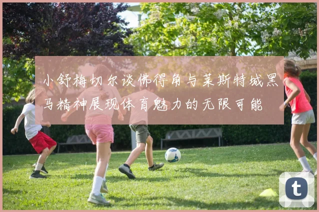 小舒梅切尔谈佛得角与莱斯特城黑马精神展现体育魅力的无限可能