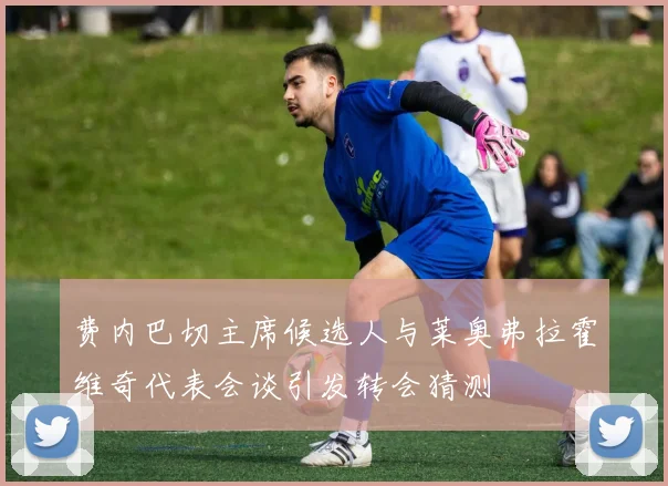 费内巴切主席候选人与莱奥弗拉霍维奇代表会谈引发转会猜测